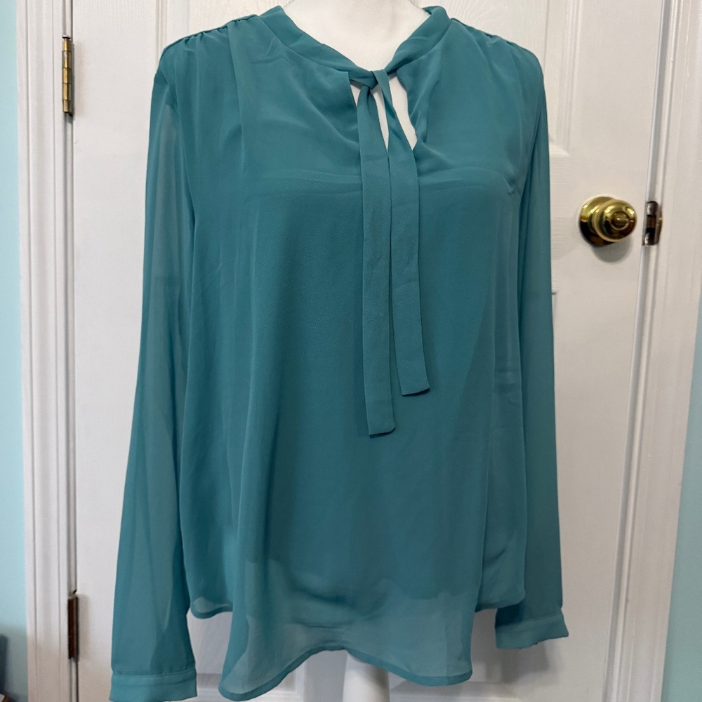 Ann Taylor teal long sleeve blouse
